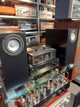 Preview: Tangband W3 Breitband Hornlautsprecher High End Lautsprecher für Röhre